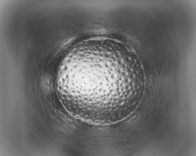 X0000059801205200510241320