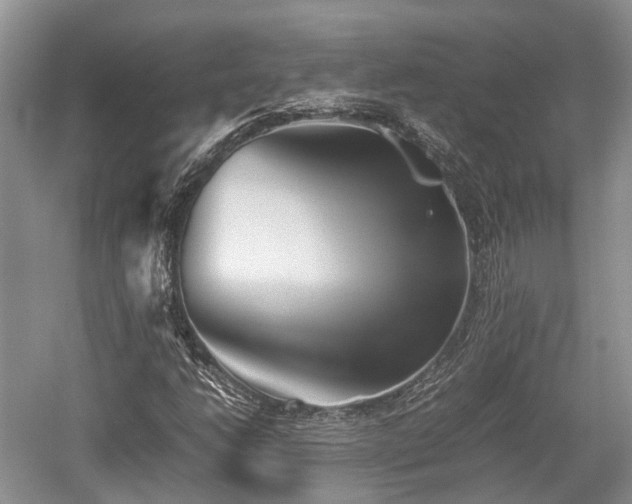 X0000059801206200510241320