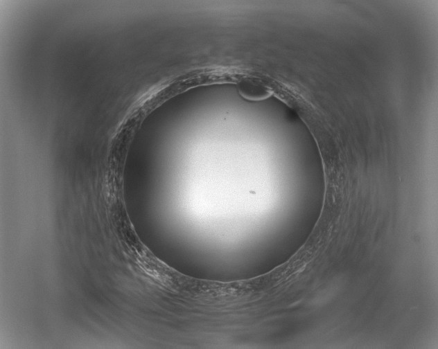 X0000059801207200510241320