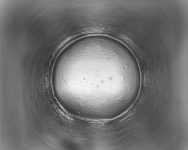 X0000059801212200510241320