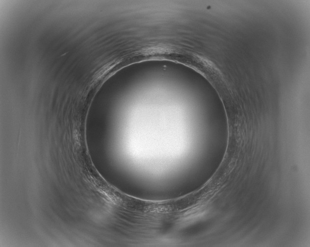 X0000059801217200510241320