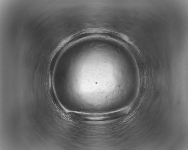 X0000059801221200510241320