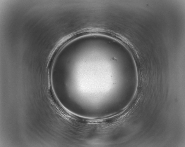 X0000059801223200510241320