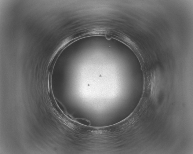 X0000059801227200510241320