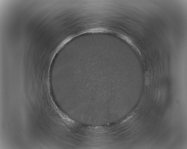 X0000059801229200510241320