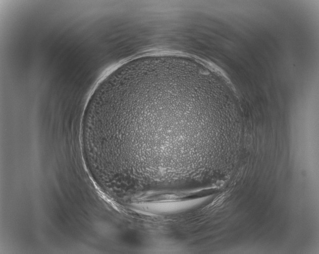 X0000059801231200510241320