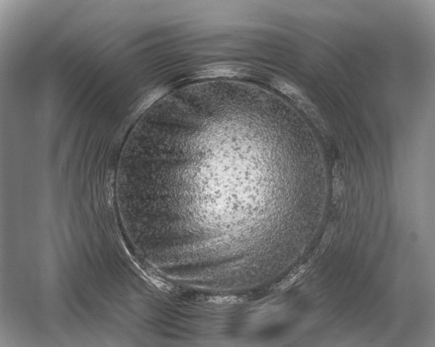 X0000059801233200510241321