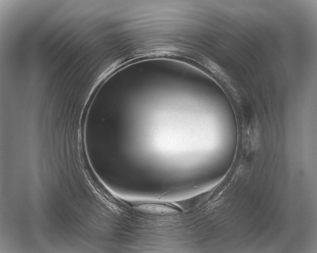 X0000059801234200510241321