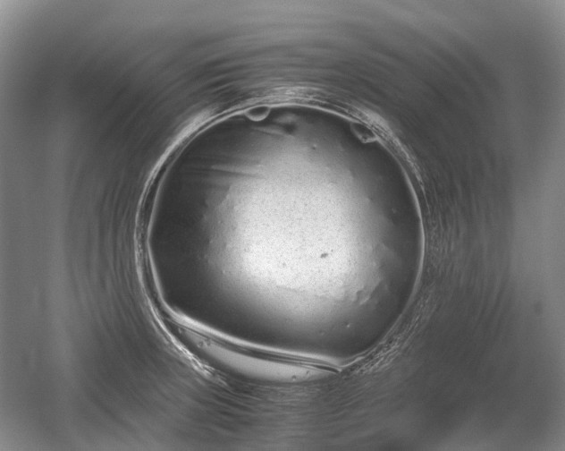 X0000059801235200510241321