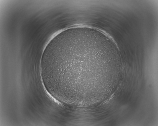 X0000059801239200510241321