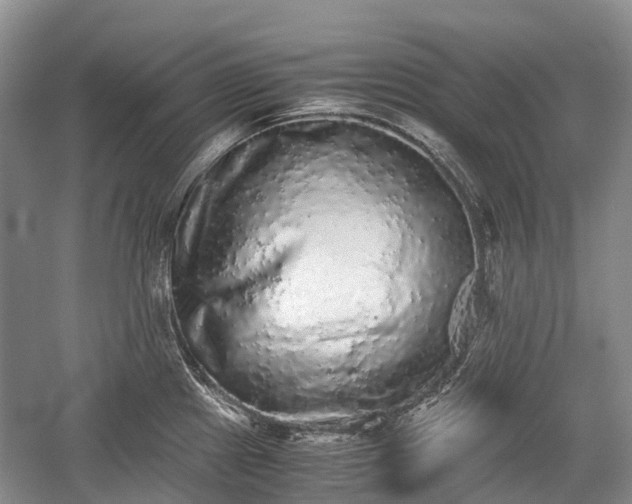 X0000059801241200510241321