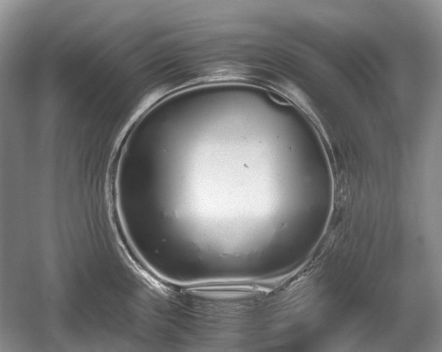 X0000059801243200510241321