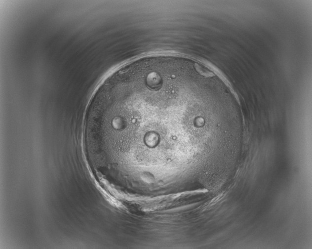 X0000059801245200510241321