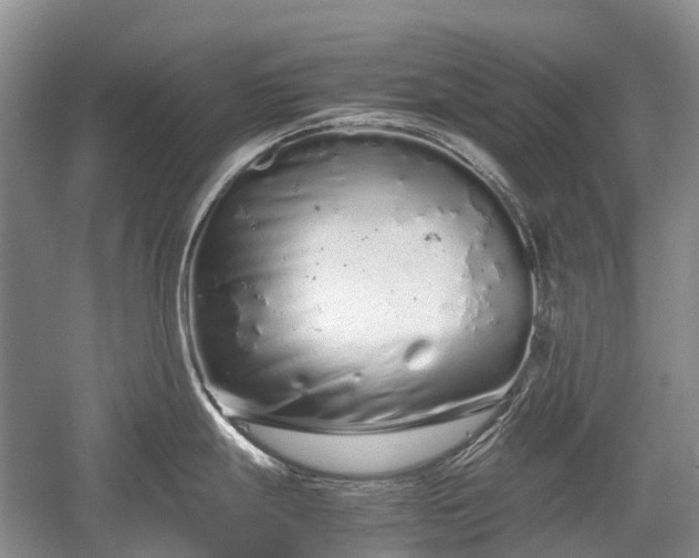 X0000059801247200510241321