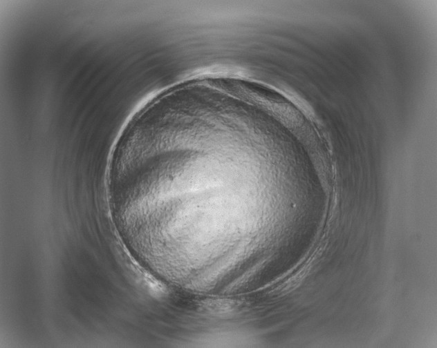 X0000059801248200510241321