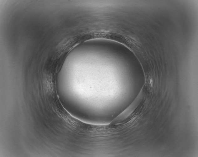 X0000059801252200510241320