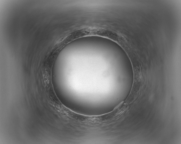 X0000059801253200510241320