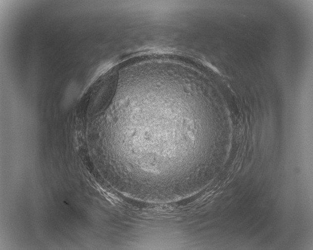 X0000059801255200510241320