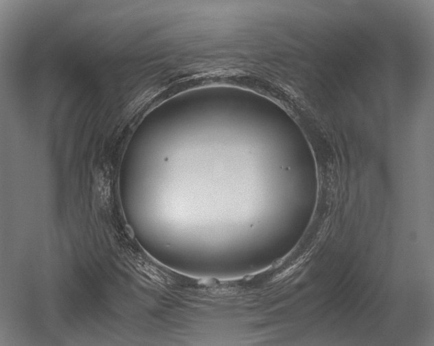 X0000059801257200510241320