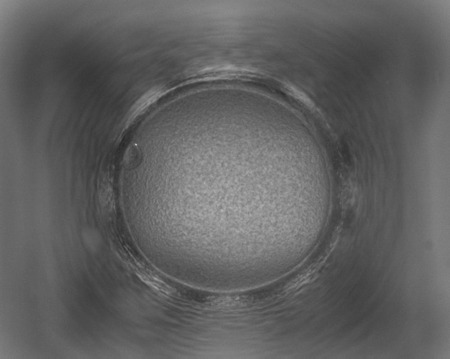 X0000059801259200510241320