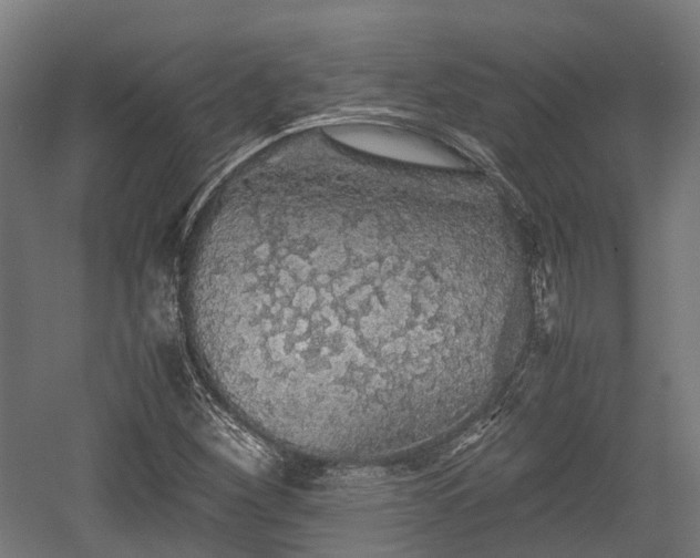 X0000059801260200510241320