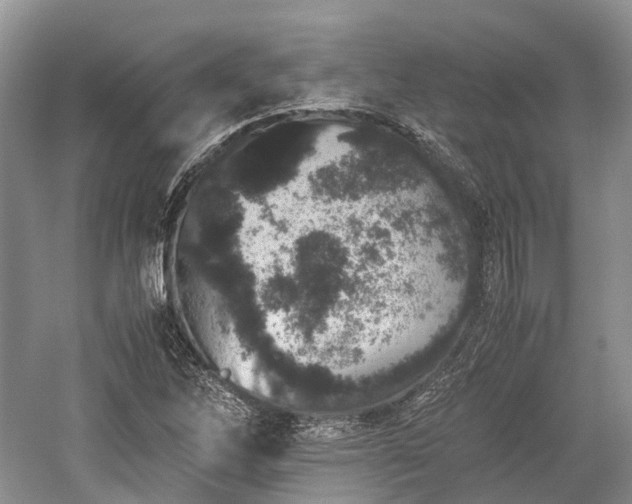 X0000059801262200510241320