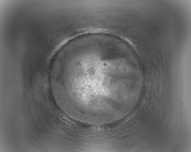 X0000059801263200510241320