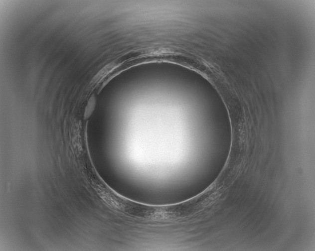 X0000059801265200510241320