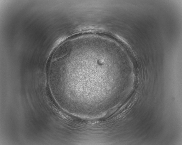 X0000059801267200510241320