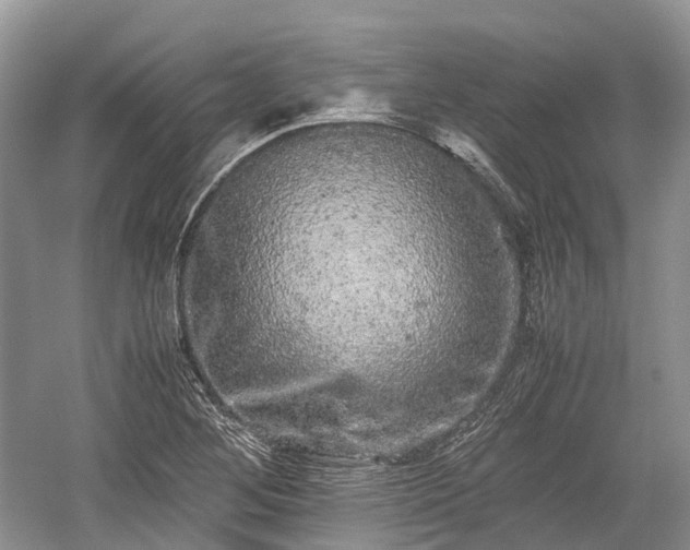 X0000059801268200510241320