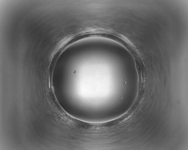 X0000059801269200510241320