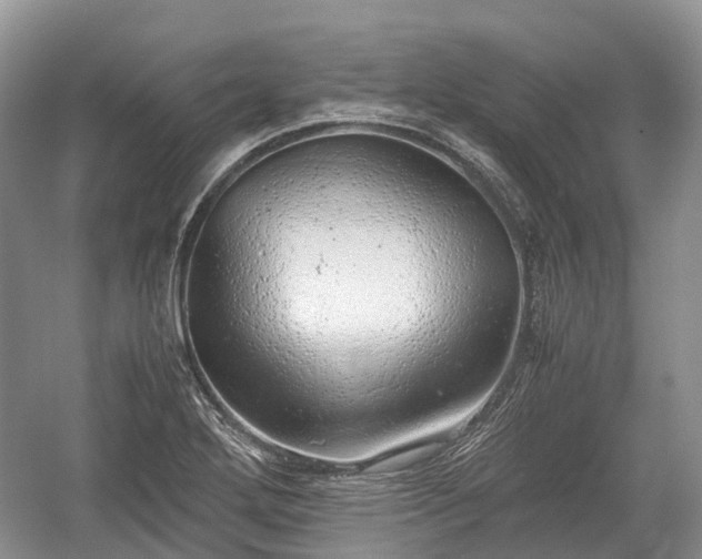 X0000059801272200510241320