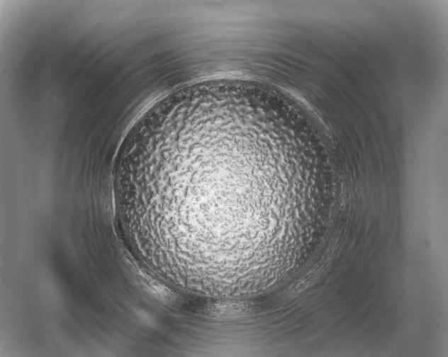 X0000059801274200510241320