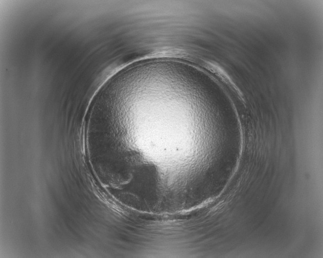 X0000059801276200510241319