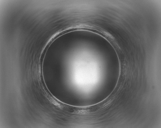 X0000059801280200510241319