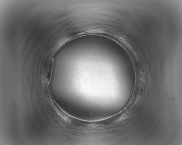 X0000059801281200510241319