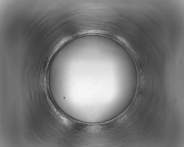 X0000059801282200510241319