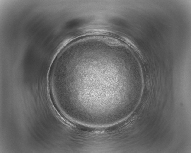 X0000059801283200510241319