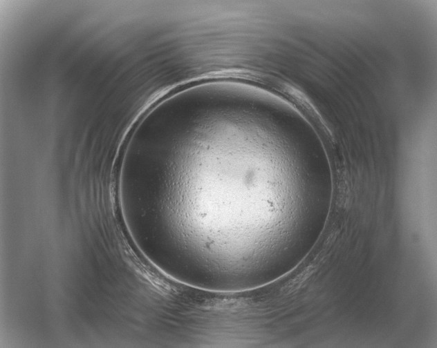 X0000059801284200510241319