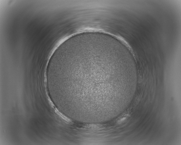 X0000059801287200510241319