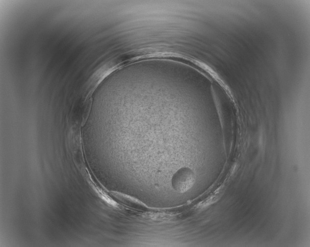 X0000059801289200510241319