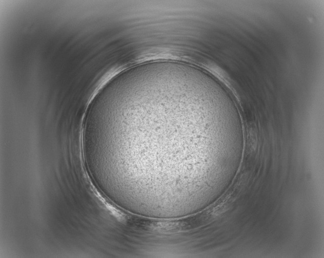 X0000059801290200510241319