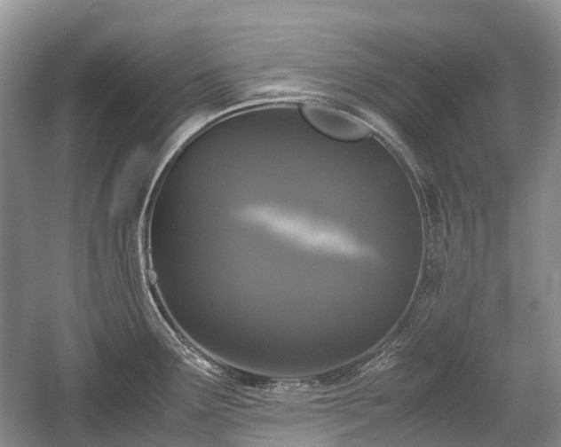 X0000059801291200510241319