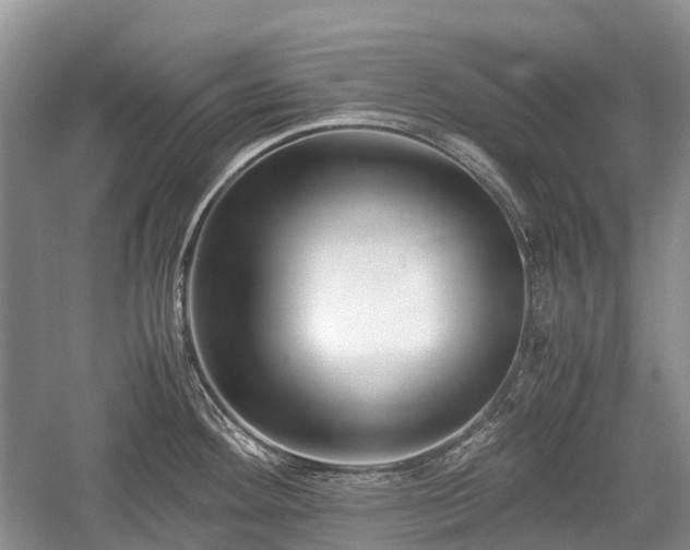 X0000059801292200510241319