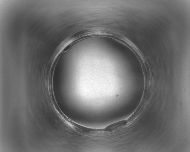 X0000059801293200510241319