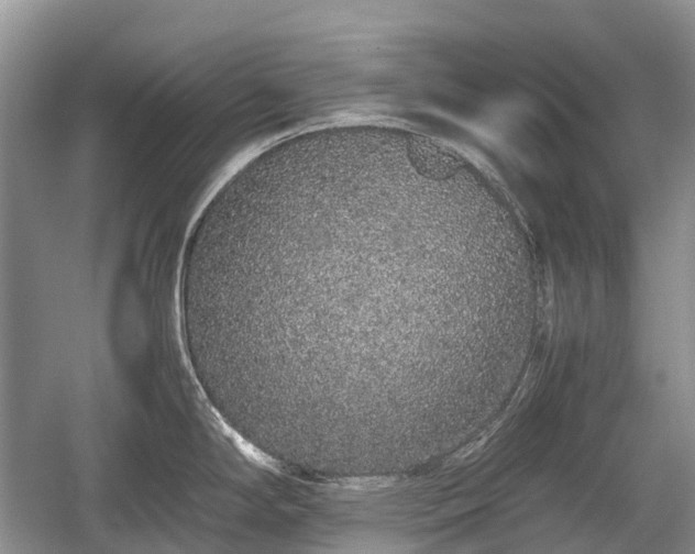 X0000059801294200510241319