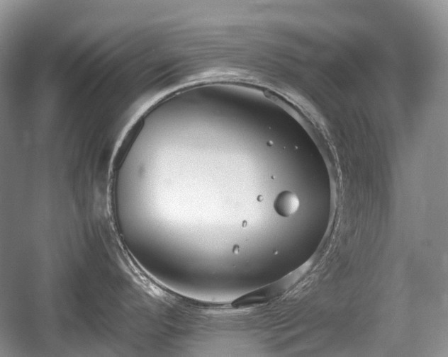 X0000059801296200510241319