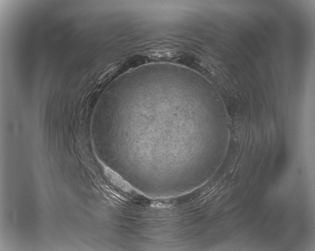 X0000059801297200510241318