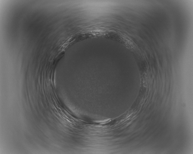 X0000059801298200510241318