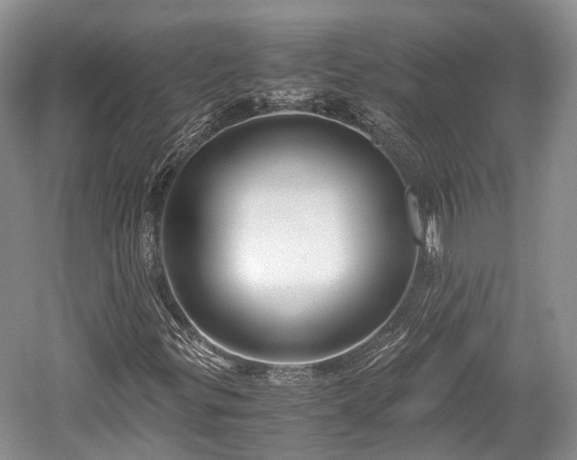 X0000059801299200510241318